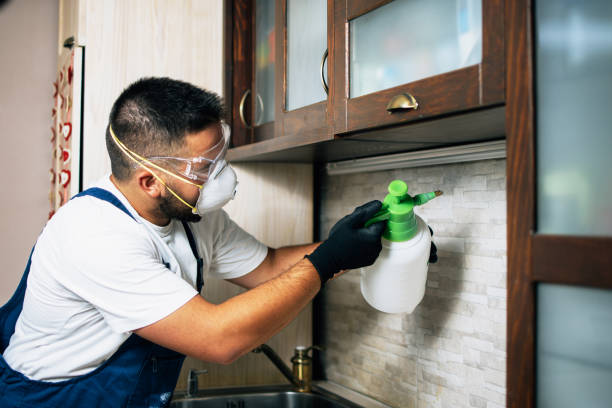Best Affordable Pest Control Services  in Brookings, OR