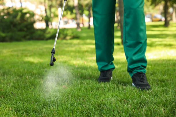 Best Pest Control Cost  in Brookings, OR
