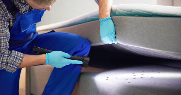 Best Best Pest Control Companies  in Brookings, OR
