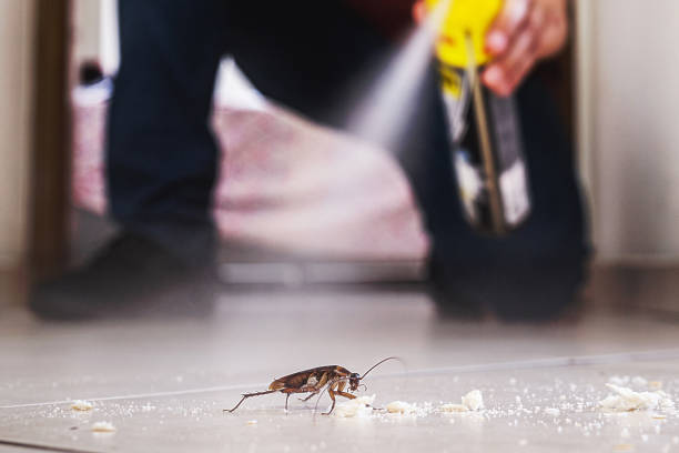 Pest Control for Restaurants in Brookings, OR