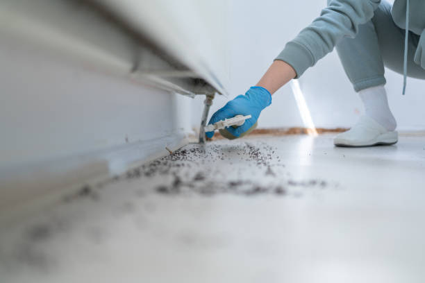 Best Residential Pest Control  in Brookings, OR