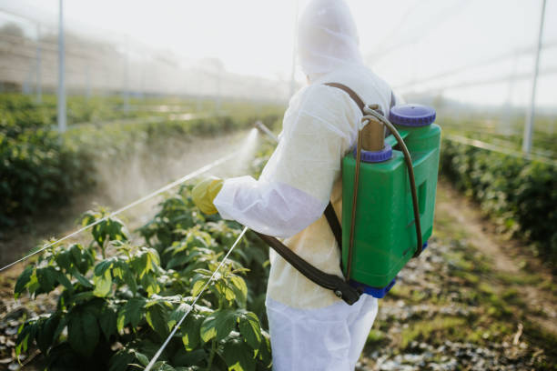 Best Pest Prevention Services  in Brookings, OR